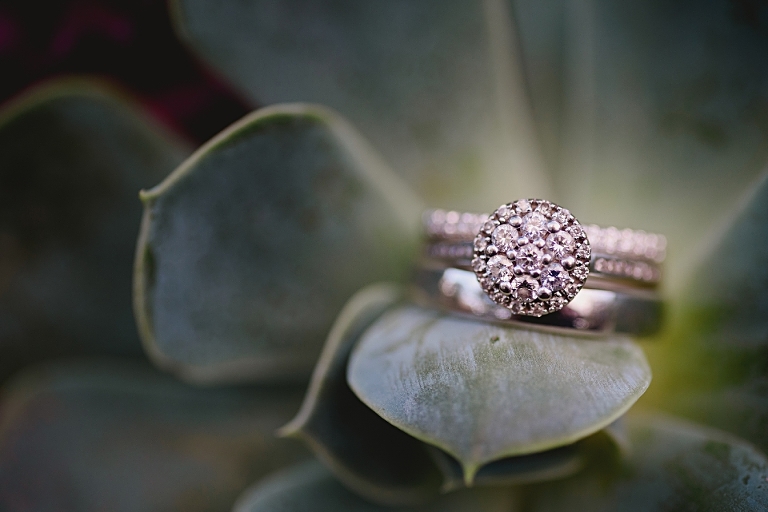 Beautiful photograph of a wedding ring on a succulent at the University of Alberta in fall before their Faculty Club reception in Edmonton